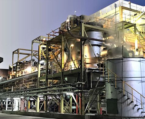 сахарный тростник